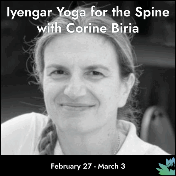 Iyengar Yoga for the Spine with Corine Biria, Feb 27 - March 3 In-Person in LA
